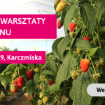 Zarejestruj się