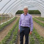 Nowe odmiany truskawek od Meiosis