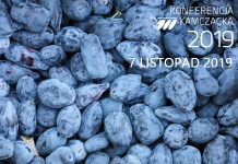 Międzynarodowa Konferencja Kamczacka już po raz 3 w Polsce