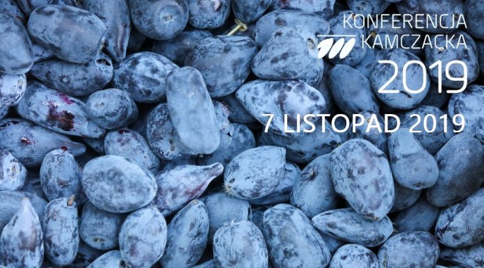 Międzynarodowa Konferencja Kamczacka już po raz 3 w Polsce