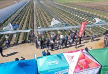 Truskawki w tunelach – spotkanie finałowe