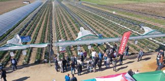 Truskawki w tunelach – spotkanie finałowe