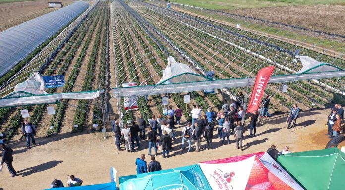 Truskawki w tunelach – spotkanie finałowe