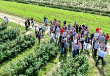 Nowe zagrożenia i wyzwania w uprawie malin na Warsztatach Malinowych 2019