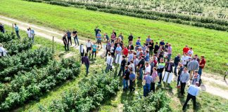 Nowe zagrożenia i wyzwania w uprawie malin na Warsztatach Malinowych 2019