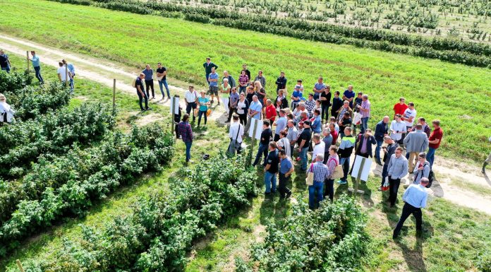 Nowe zagrożenia i wyzwania w uprawie malin na Warsztatach Malinowych 2019