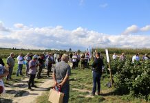 Ochrona i nawożenie rekomendowane przez BioAgris