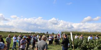 Ochrona i nawożenie rekomendowane przez BioAgris