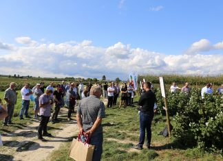 Ochrona i nawożenie rekomendowane przez BioAgris