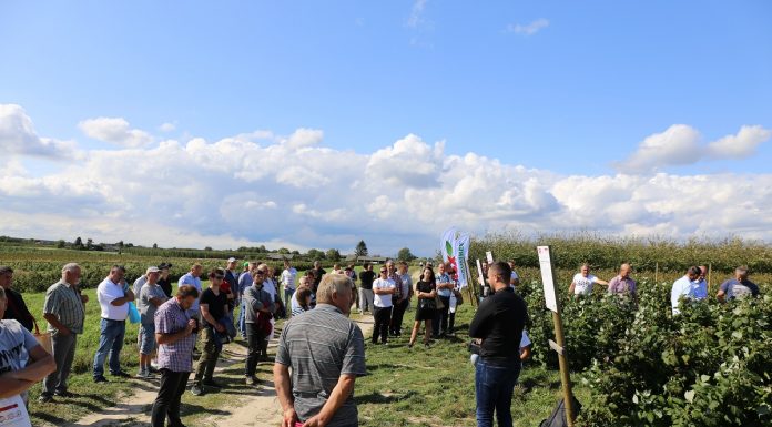 Ochrona i nawożenie rekomendowane przez BioAgris