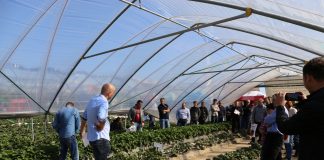 Truskawki w tunelach – podsumowanie pierwszego sezonu