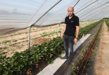 Projekt Truskawki w tunelach – ostatnie dni sierpnia