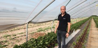 Projekt Truskawki w tunelach – ostatnie dni sierpnia