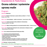Malinowe Warsztaty_plakat_nowy