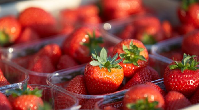 Za co kochamy truskawki?