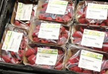 Nowa era dla żywności ekologicznej?