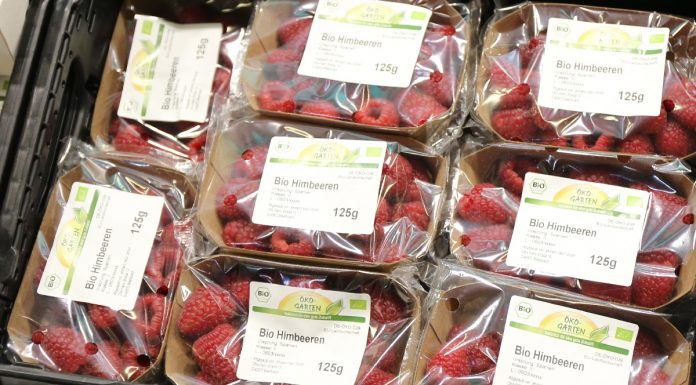 Nowa era dla żywności ekologicznej?