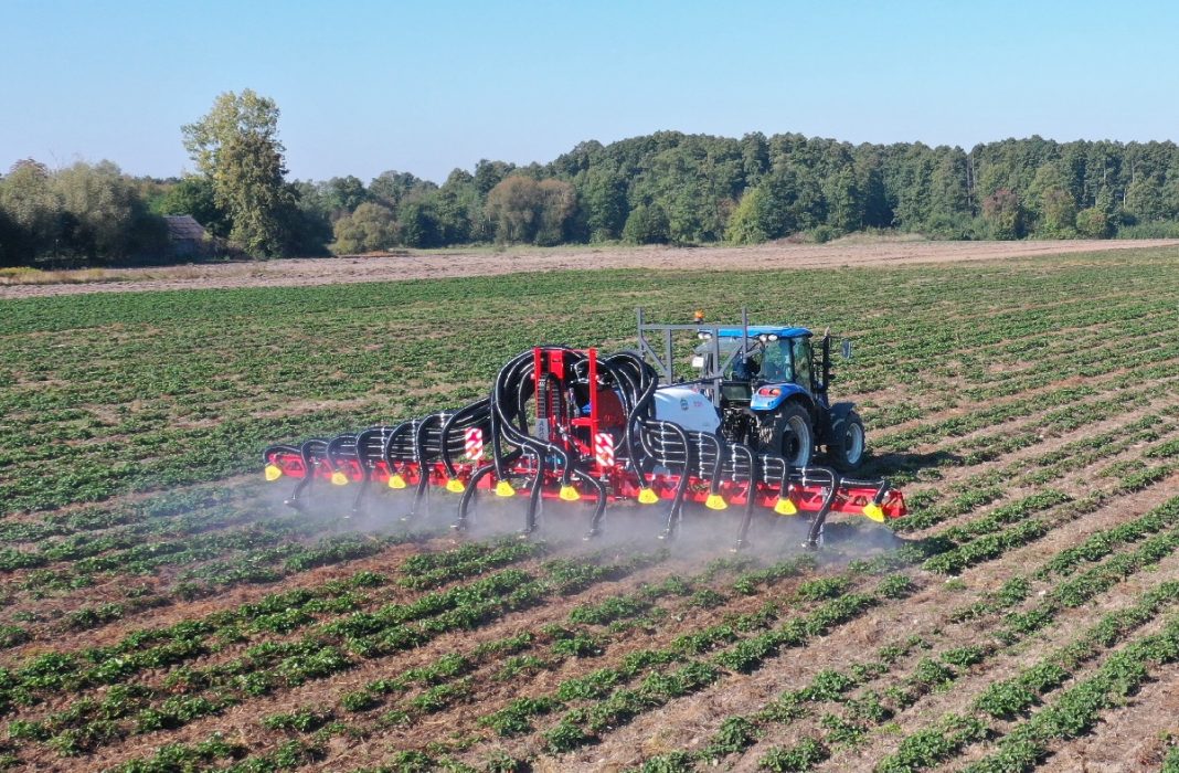 Zabieg ochrony na plantacji truskawek opryskiwacz dla truskawek