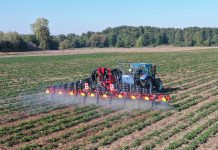 Nowy insektycyd do zastosowania w ochronie truskawek i porzeczek