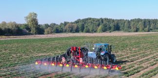 Nowy insektycyd do zastosowania w ochronie truskawek i porzeczek