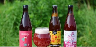 Czas na piwa jagodowe!