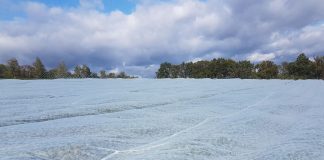 Nowość na polskim rynku- Agrowłóknina całoroczna z technologią Agro Marina, przepuszczająca wodę