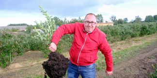 Optymalne wykorzystanie kwasów humusowych w uprawie borówki