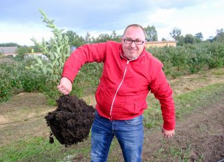 Optymalne wykorzystanie kwasów humusowych w uprawie borówki