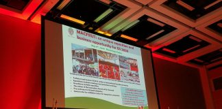 IX Międzynarodowe Sympozjum Truskawkowe w Rimini w maju przyszłego roku