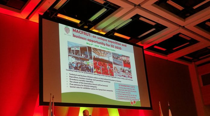 IX Międzynarodowe Sympozjum Truskawkowe w Rimini w maju przyszłego roku