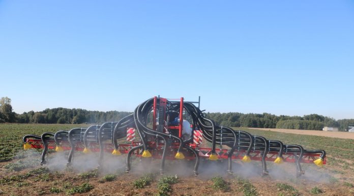 Harmonogram naborów wniosków o przyznanie pomocy w 2024 r.