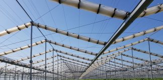 Szklarnia z rozsuwanym dachem do uprawy truskawek