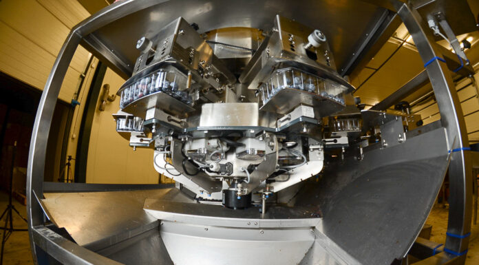 Sortowanie i pakowanie borówki – kompletna linia Krebeck na sprzedaż