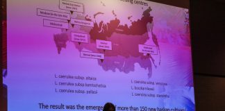 Rosja inwestuje w produkcję jagodowych