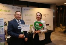 Jagoda kamczacka – plon powyżej 10 t/ha jest możliwy