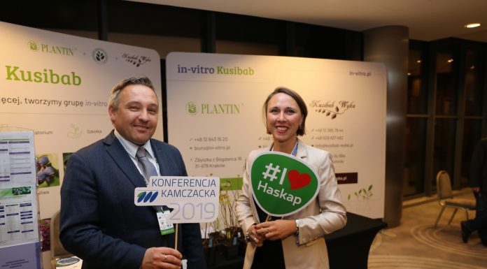 Jagoda kamczacka – plon powyżej 10 t/ha jest możliwy