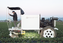 Kombajn do zbioru truskawek w otwartym gruncie