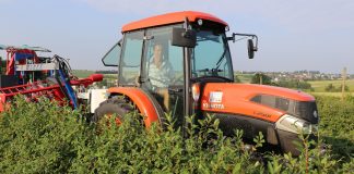 Uniwersalne ciągniki na plantacje krzewów jagodowych