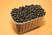 Nowoczesna uprawa aronii