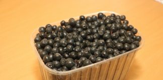 Nowoczesna uprawa aronii