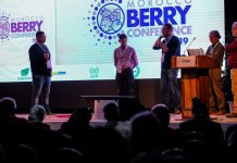 Maroko – ważny gracz na jagodowym rynku