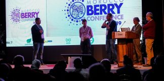 Maroko – ważny gracz na jagodowym rynku