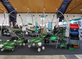 expoSE i expoDirekt 2019 – propozycje dla jagodowych