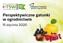 Perspektywiczne gatunki w ogrodnictwie