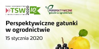 Perspektywiczne gatunki w ogrodnictwie
