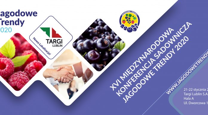 Jagodowe Trendy 2020 – Lublin