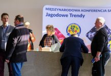 Jagodowe Trendy 2020 – fotogaleria (Cz. 1)