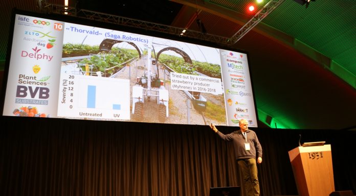 Nowe technologie w uprawie jagodowych (cz. I)