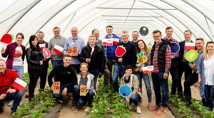 Współpraca polskich superowoców