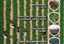 Jagodnik 1/2020 już w sprzedaży